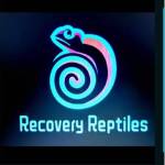 Recovery Reptiles